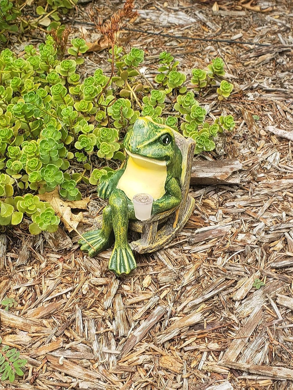SylvaGlow Frog Statue With Soft Light For Garden And Patio | Veisp