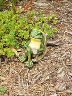 SylvaGlow Frog Statue With Soft Light For Garden And Patio | Veisp