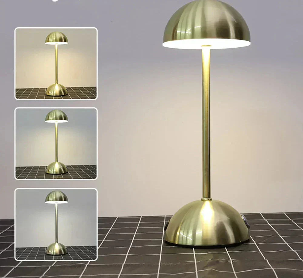 Aurorae LED Ambient Lamp For Home, 3 Adjustable Color Modes | Veisp