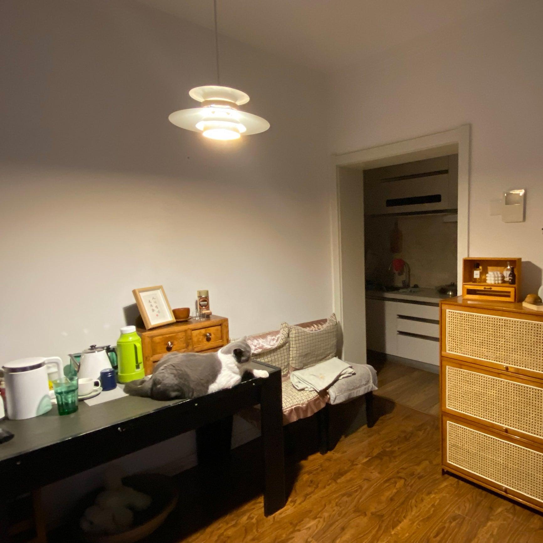 Aurelis Suspended Pendant Lamp With Warm Ambient Glow | Veisp