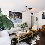 Luminelle Modern Ceiling Lamp, Lacquered Steel Finish | Veisp