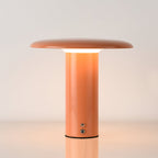 LumaFlow Minimalist LED Table Lamp With USB Charging | Veisp