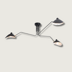 Luminelle Modern Ceiling Lamp, Lacquered Steel Finish | Veisp