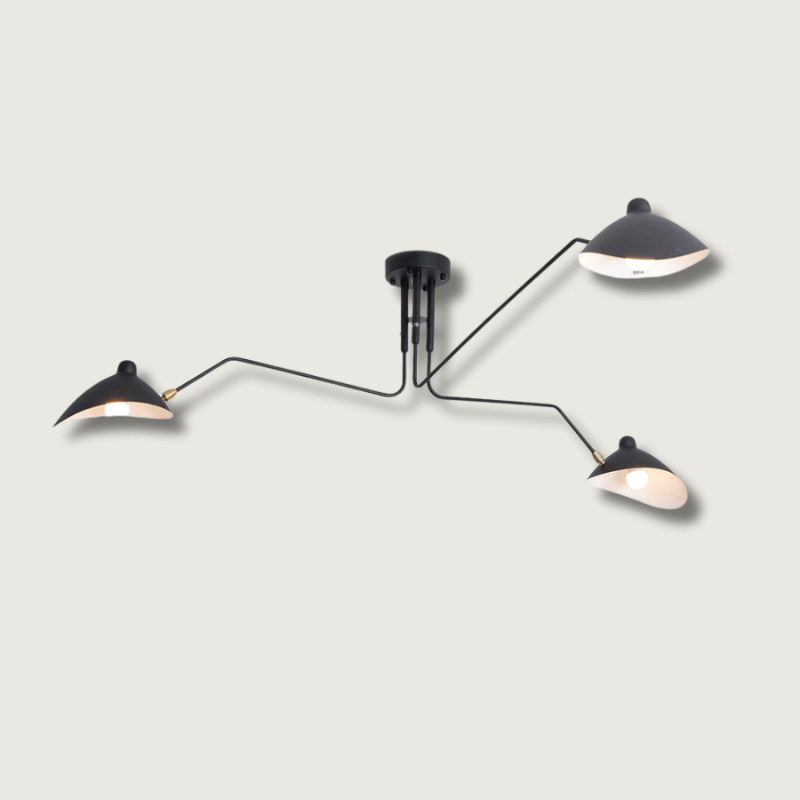 Luminelle Modern Ceiling Lamp, Lacquered Steel Finish | Veisp