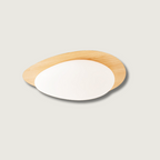 Avenora Minimalist Opal Acrylic Ceiling Light Warm Glow | Veisp