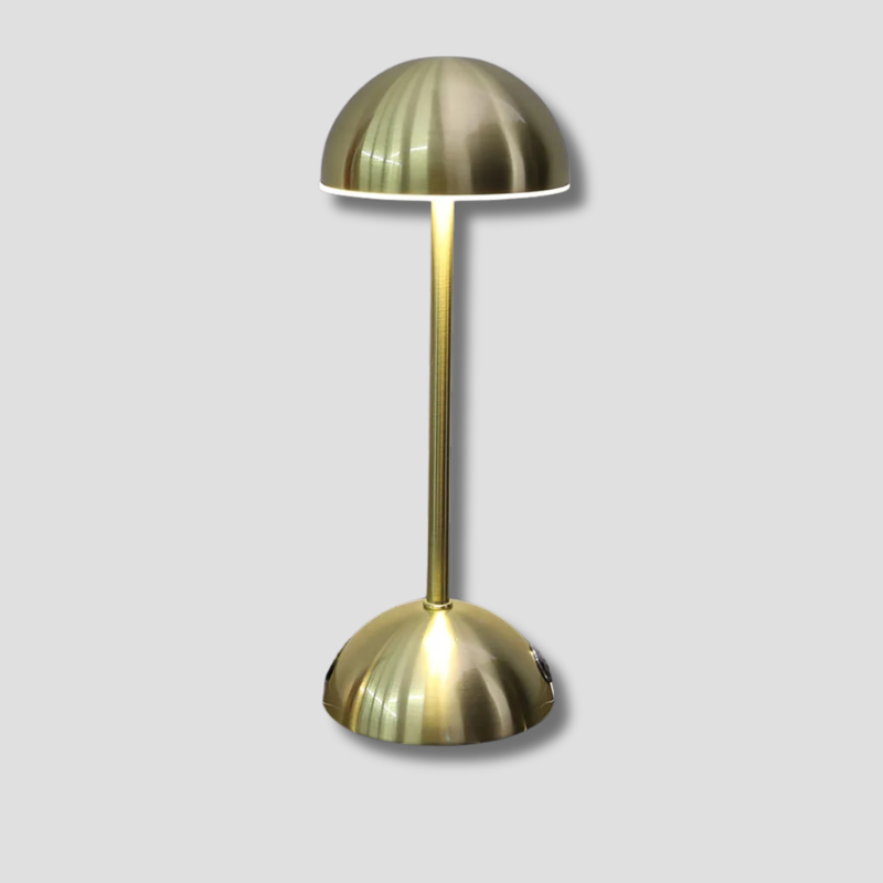 Aurorae LED Ambient Lamp For Home, 3 Adjustable Color Modes | Veisp